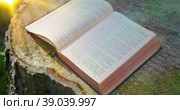 Holy Bible. Open sacred book on a natural background. Forest nature. Sunset rays of sunlight fall on the pages. Holy scriptures in German. Ancient writings. Big old stump. Стоковое видео, видеограф Ольга Сухарева / Фотобанк Лори