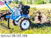 Harvesting potatoes with a walk-behind tractor (2022 год). Редакционное фото, фотограф FotograFF / Фотобанк Лори