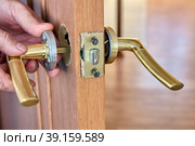 Lever door handle pin is inserted into door latch hole during installation. Стоковое фото, фотограф Владимир Григорьев / Фотобанк Лори