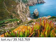 Cabo da Roca is the extreme point of Europe. Hidden beache with Rock, blue clear waters and foliage. Atlantic Ocean, Sintra, Portugal (2019 год). Стоковое фото, фотограф Igor Tichonow / Фотобанк Лори