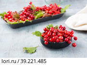 Ripe viburnum berries with leaves in a bowl on the table. Wellness, Alternative Medicine and Vitamin Nutrition. Стоковое фото, фотограф Елена Руй / Фотобанк Лори
