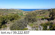 Окрестности Надура. Средиземное море. Остров Гоцо (Gozo). Республика Мальта (2023 год). Стоковое фото, фотограф lana1501 / Фотобанк Лори