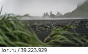 Reynisfjara black sand beach and Reynisdrangar basalt sea stacks on story day, Vik, Iceland (2020 год). Стоковое фото, фотограф Igor Tichonow / Фотобанк Лори