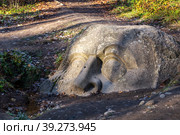 Stone head carved out of a huge boulder in the park of the Sergievka estate (2022 год). Стоковое фото, фотограф Юлия Бабкина / Фотобанк Лори