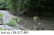 A deep gorge of a small mountain river in the mountains of the North Caucasus. Стоковое видео, видеограф Андрей Ситников / Фотобанк Лори