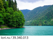 Natural landscape with a view of lake Ritsa. Стоковое фото, фотограф Виктория Кольцова / Фотобанк Лори