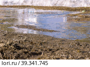Spring streams from melting snow flow over the surface of the earth due to frozen or faulty drainage and stormwater. Стоковое фото, фотограф Дмитрий Коростылев / Фотобанк Лори