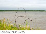 Старая ржавая колючая проволока на месте концентрационного лагеря СЛОН на берегу Белого моря в штормовую погоду (2018 год). Стоковое фото, фотограф Pukhov K / Фотобанк Лори