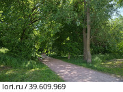 Парк "Акведук" летним днем. Москва, Россия (2022 год). Стоковое фото, фотограф Елена Коромыслова / Фотобанк Лори