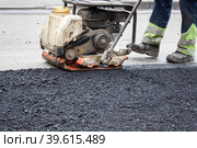 Asphalt rammer. laying the road surface. Стоковое фото, фотограф Радомир Тарасов / Фотобанк Лори