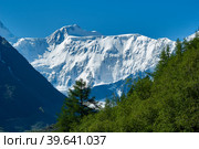 Belukha peak at clear weather. Стоковое фото, фотограф Сергей Буторин / Фотобанк Лори