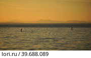 Sea landscape with silhouettes of the Islands and the people on the SAP boards. Стоковое видео, видеограф Виктория Кольцова / Фотобанк Лори