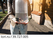 aquarium fish in a package for transportation to the aquarium. Safe relocation of fish purchased in the store. A woman has a bag of water in her hand on the street. Pets. Стоковое фото, фотограф Ольга Симонова / Фотобанк Лори