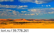 Sand dunes Namib-Naukluft national park, Namibia (2012 год). Стоковое фото, фотограф Сергей Майоров / Фотобанк Лори