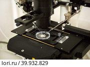 Microscope and optical equipment in the laboratory of the artificial insemination clinic. The invention of the vaccine, IVF. Tests, fertilization of the egg. Стоковое фото, фотограф Ольга Симонова / Фотобанк Лори