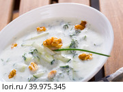 National Macedonian and Bulgarian dish Tarator. Стоковое фото, фотограф Яков Филимонов / Фотобанк Лори