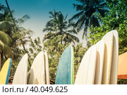 Surf boards in stack for rent by ocean on sandy beach. Стоковое фото, фотограф Светлана Лажко / Фотобанк Лори