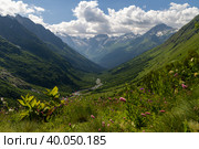 Альпийские луга в долине Домбай-Ульген (2022 год). Редакционное фото, фотограф Aliz_red_s / Фотобанк Лори