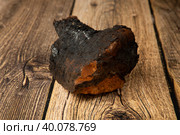 Chaga.Birch chaga.Mushroom on a birch tree.Useful plants. Стоковое фото, фотограф Александр Поташев / Фотобанк Лори