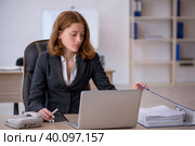 Young female employee working in the office. Стоковое фото, фотограф Elnur / Фотобанк Лори