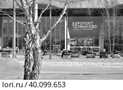 The new terminal of Tolmachevo airport (2023 год). Редакционное фото, фотограф ArhSib / Фотобанк Лори