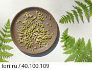 Munga bean sprouts, Golden beans on a brown plate, top plan on a white background. Стоковое фото, фотограф Bogdanova Mariia / Фотобанк Лори