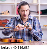 Young handsome repairman repairing violin. Стоковое фото, фотограф Elnur / Фотобанк Лори