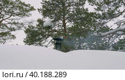 Западная Сибирь, лагерь ханты: изба в лесу, дым из трубы. Western Siberia, Khanty people's camp: a hut in the forest, smoke from the chimney. Стоковое видео, видеограф Евгений Романов / Фотобанк Лори