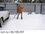 A man in winter cleans snow with a shovel in the yard of a house in the parking lot. Snowfall, difficult weather conditions, the car is stalling, digging up the passage. Стоковое фото, фотограф Ольга Симонова / Фотобанк Лори