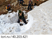 Laborer opening the snow-covered Kedarnath temple route. Стоковое фото, фотограф Devendra Rawat / Фотобанк Лори