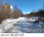 Сиреневый бульвар. Район Измайлово. Город Москва (2023 год). Стоковое фото, фотограф lana1501 / Фотобанк Лори