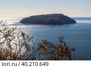 Вид на море и гористый остров. Ветки с осенней листвой на переднем плане. Остров Недоразумения, Тауйская губа, Охотское море. Природа Магаданской области и Сибири. Дальний Восток России. Стоковое фото, фотограф Андрей Степанов / Фотобанк Лори