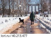 Владелец (хозяин) выгуливает пуделя в городском парке солнечным весенним днем. Стоковое фото, фотограф Photojuli / Фотобанк Лори