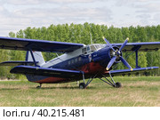 AN-2 airplane (2008 год). Редакционное фото, фотограф Сергей Буторин / Фотобанк Лори