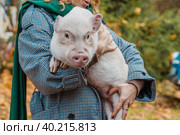 The girl in her arms holds a white mini-pig. Стоковое фото, фотограф Ольга Сейфутдинова / Фотобанк Лори