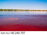 Panoramic view to Katam aka Baramar lake group of Ounianga kebir lakes at the Ennedi, Chad (2018 год). Стоковое фото, фотограф Сергей Майоров / Фотобанк Лори