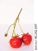 Крупные спелые ягоды сортовой клубники созрели на садовом участке. Large ripe berries of varietal strawberries ripened on the garden plot. Стоковое фото, фотограф Мария / Фотобанк Лори