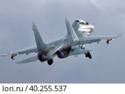 Многоцелевой истребитель Су-30СМ ВКС России (2021 год). Редакционное фото, фотограф Александр Тарасенков / Фотобанк Лори