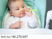 A hungry baby is gnawing on a plastic spoon at the table on a high chair. Teething, whims, itchy gums, introduction of complementary foods. Стоковое фото, фотограф Ольга Симонова / Фотобанк Лори