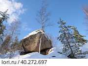 Падающий камень солнечным мартовским днем. Парк старинной усадьбы Монрепо. Выборг, Ленинградская область (2023 год). Редакционное фото, фотограф Виктор Карасев / Фотобанк Лори
