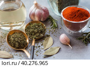 Fragrant spices. Dried parsley, dill, paprika, rosemary, garlic, bay leaf and a bottle of oil on a gray background. Free space. Стоковое фото, фотограф Photojuli / Фотобанк Лори
