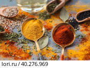 A set of fragrant spices. Turmeric, paprika, dried parsley, dill, rosemary, cumin, garlic, bay leaf and a bottle of oil on a gray background. Free space. Стоковое фото, фотограф Photojuli / Фотобанк Лори