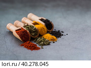 A set of fragrant spices. Turmeric, paprika, herbs and pepper in wooden spoons on a gray background. Free space for text. Стоковое фото, фотограф Photojuli / Фотобанк Лори