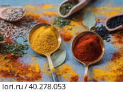 A set of fragrant spices. Turmeric, paprika, dried parsley, dill, rosemary, cumin, garlic, bay leaf and a bottle of oil on a gray background. Free space. Стоковое фото, фотограф Photojuli / Фотобанк Лори