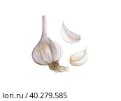 Watercolor garlic isolated on white background. Стоковая иллюстрация, иллюстратор Екатерина Злобина / Фотобанк Лори