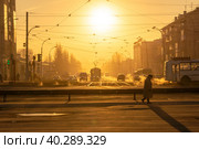 in morning in city, vehicles move along the street, as well as electric vehicles rail and trackless , selective focus. Стоковое фото, фотограф Дмитрий Коростылев / Фотобанк Лори