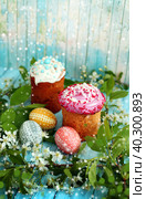 Easter eggs and cake in cherry blossom, happy holidays. Стоковое фото, фотограф ElenArt / Фотобанк Лори