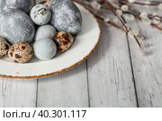 Stylish grey Easter eggs in the color of marble, concrete in a plate and willow branches on a white wooden background. Coloring eggs with natural dye karkade tea. Environmental friendliness. Naturalness. The feast of bright Easter. Стоковое фото, фотограф Photojuli / Фотобанк Лори