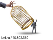 Business people and golden cage concept. Стоковое фото, фотограф Elnur / Фотобанк Лори