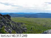 Алтайское среднегорье. Стоковое фото, фотограф AkkordPhoto / Фотобанк Лори